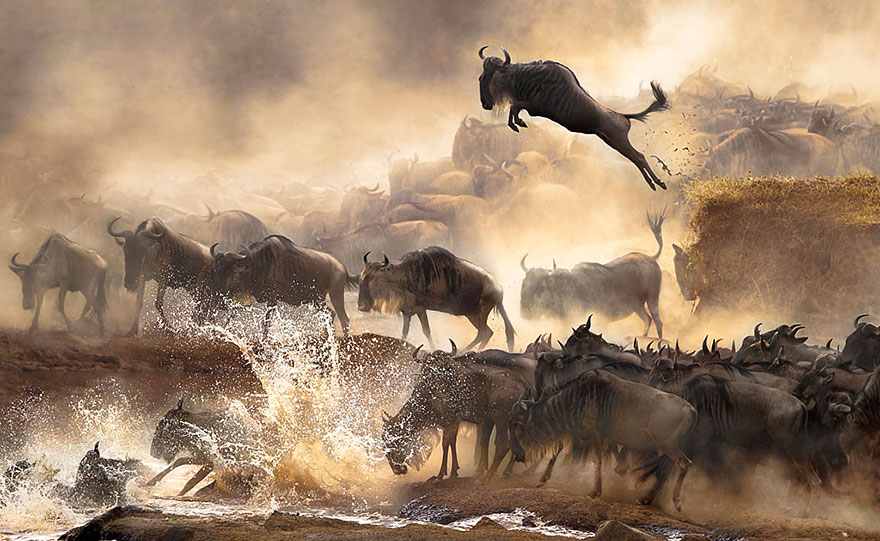 The Winners Of The 2014 Sony World Photography Awards Have Been Announced The Winners Of The 2014 Sony World Photography Awards Have Been Announced