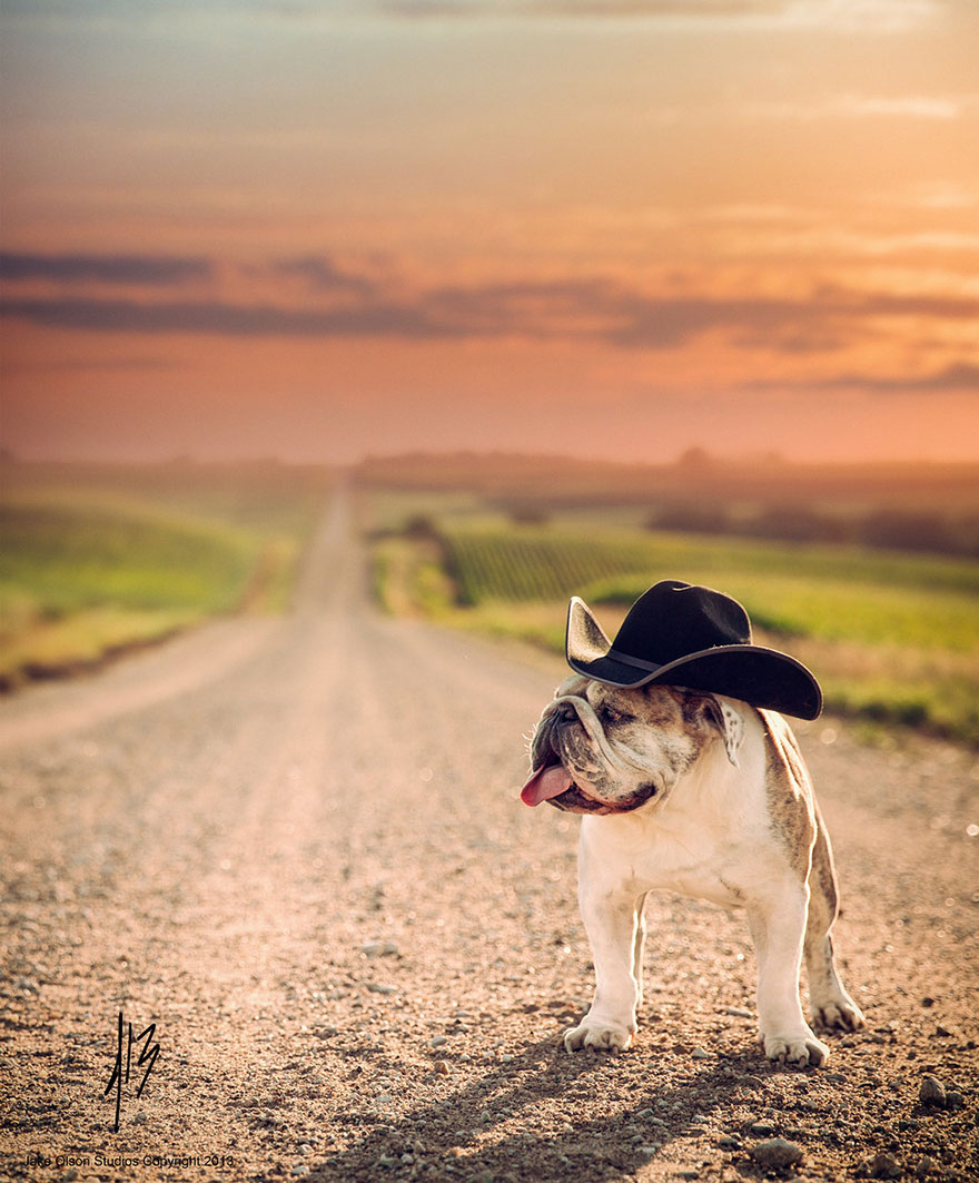 Photographer Takes Magical Photos Of Kids And Animals In The American Midwest Photographer Takes Magical Photos Of Kids And Animals In The American Midwest