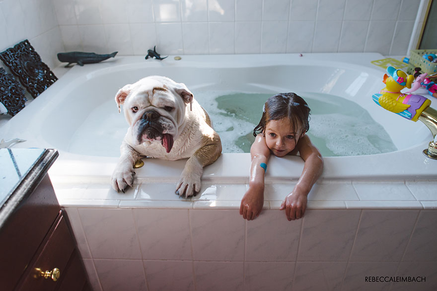 The Heartwarming Friendship Of A Little Girl And Her English Bulldog