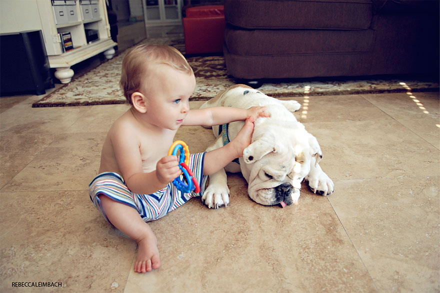 The Heartwarming Friendship Of A Little Girl And Her English Bulldog