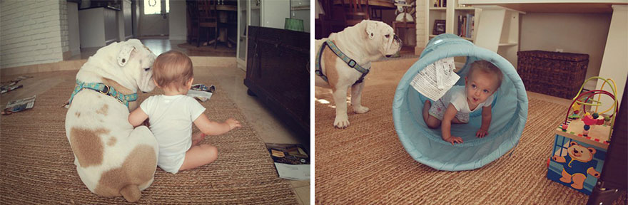The Heartwarming Friendship Of A Little Girl And Her English Bulldog