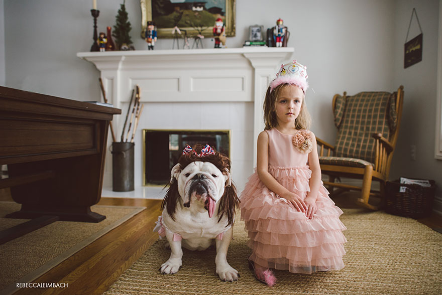 The Heartwarming Friendship Of A Little Girl And Her English Bulldog