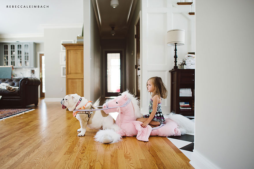 The Heartwarming Friendship Of A Little Girl And Her English Bulldog