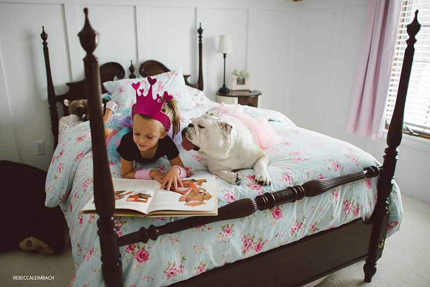 The Heartwarming Friendship Of A Little Girl And Her English Bulldog