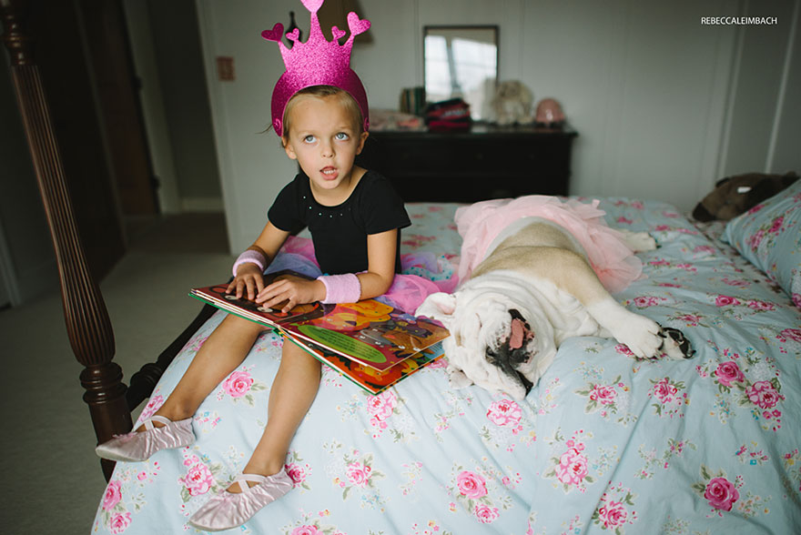 The Heartwarming Friendship Of A Little Girl And Her English Bulldog