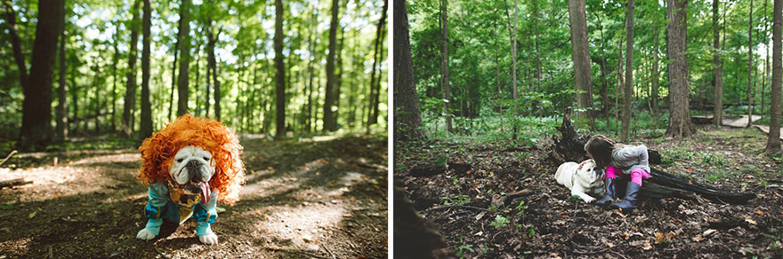 The Heartwarming Friendship Of A Little Girl And Her English Bulldog