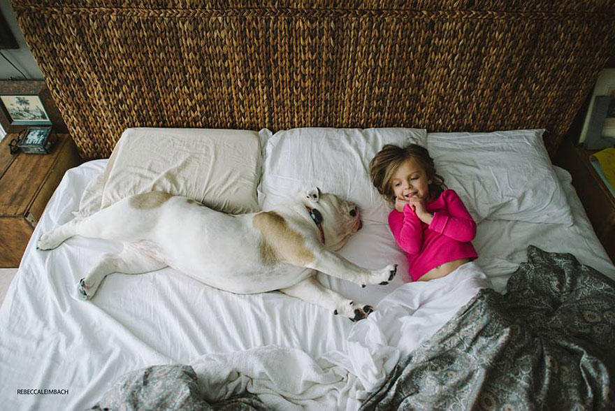 The Heartwarming Friendship Of A Little Girl And Her English Bulldog