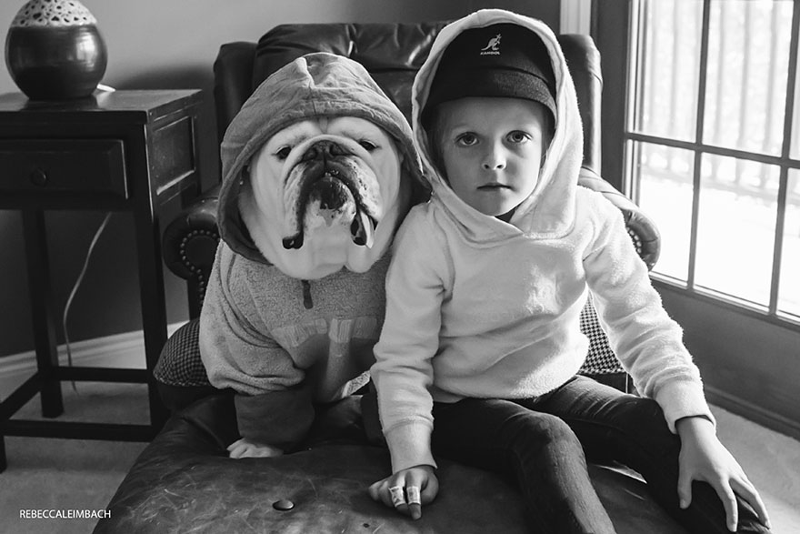 The Heartwarming Friendship Of A Little Girl And Her English Bulldog