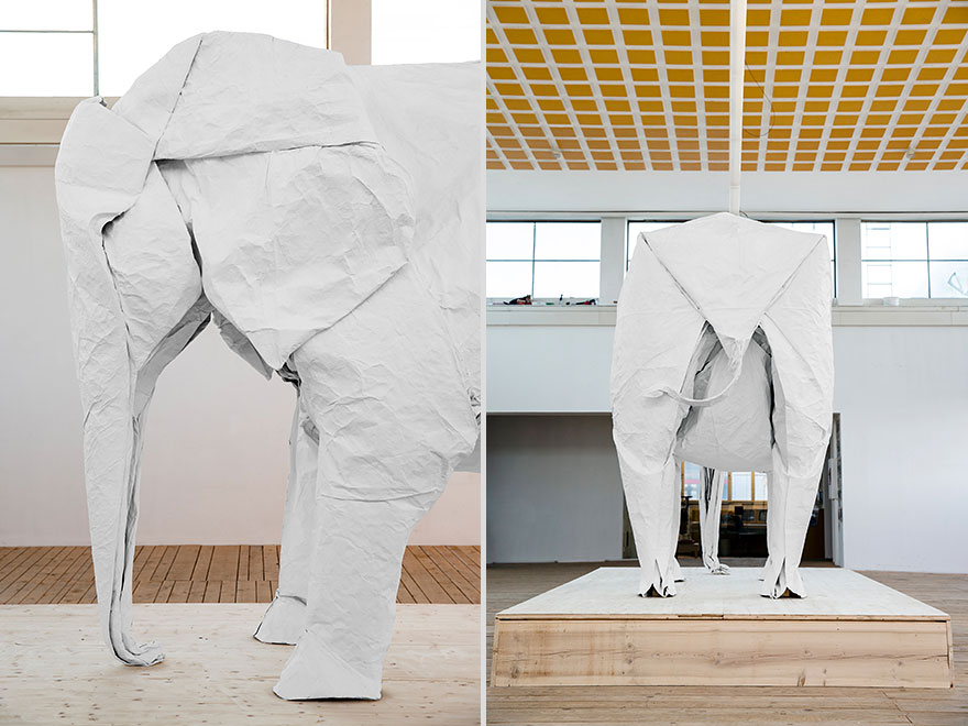 Artist Folds Life-Sized Elephant Out Of Single Massive 50 x 50 ft Sheet Of Paper