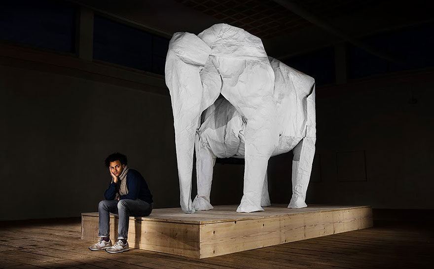 Artist Folds Life-Sized Elephant Out Of Single Massive 50 x 50 ft Sheet Of Paper