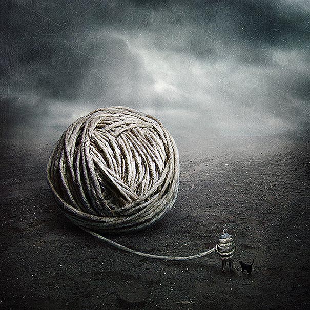 Artist Creates Surreal Pictures With Shelter Animals To Help Find Them New Homes