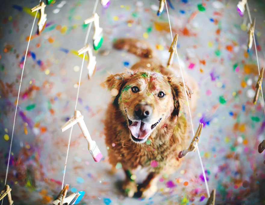 R.I.P Chuppy: These Adorable Photos Will Always Remind Us Of Chuppy The Golden Retriever R.I.P Chuppy: These Adorable Photos Will Always Remind Us Of Chuppy The Golden Retriever