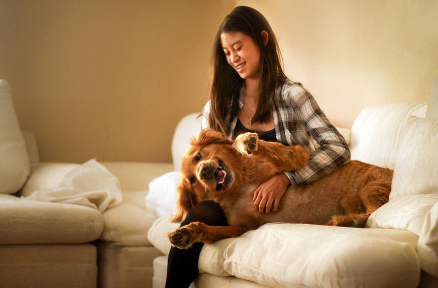 R.I.P Chuppy: These Adorable Photos Will Always Remind Us Of Chuppy The Golden Retriever R.I.P Chuppy: These Adorable Photos Will Always Remind Us Of Chuppy The Golden Retriever