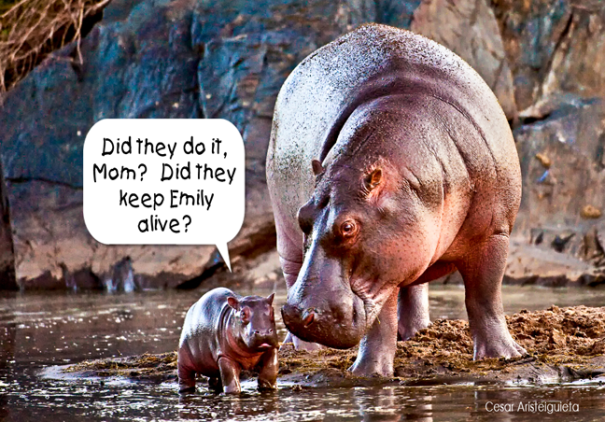 Amazing Artists For Emily! Amazing Artists For Emily!