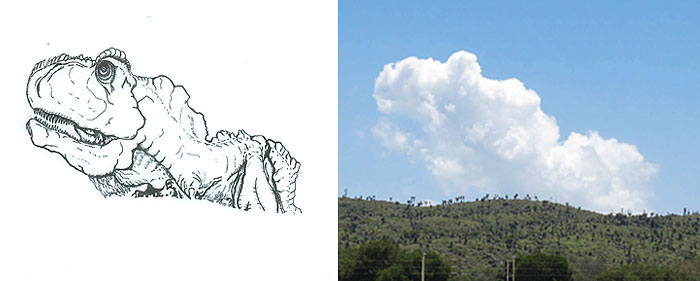 I Turn Clouds Into Illustrations I Turn Clouds Into Illustrations