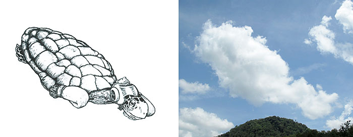 I Turn Clouds Into Illustrations I Turn Clouds Into Illustrations