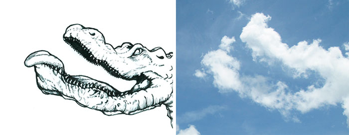I Turn Clouds Into Illustrations I Turn Clouds Into Illustrations