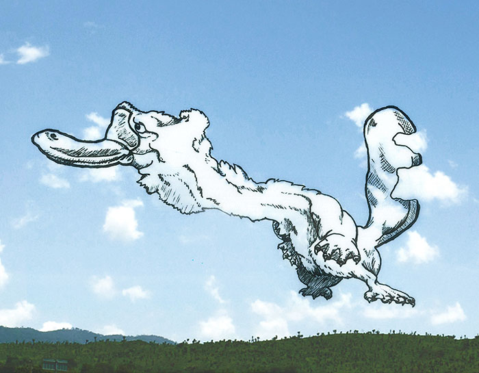 I Turn Clouds Into Illustrations I Turn Clouds Into Illustrations