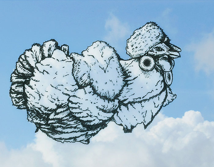 I Turn Clouds Into Illustrations I Turn Clouds Into Illustrations