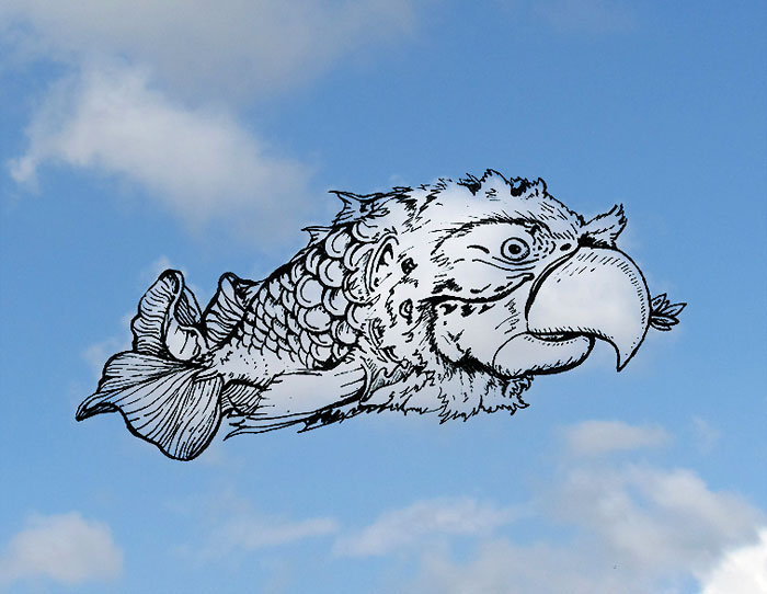 I Turn Clouds Into Illustrations I Turn Clouds Into Illustrations