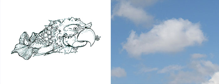 I Turn Clouds Into Illustrations I Turn Clouds Into Illustrations