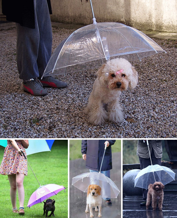19 Brilliant Umbrellas That Will Make Rainy Days Fun 19 Brilliant Umbrellas That Will Make Rainy Days Fun