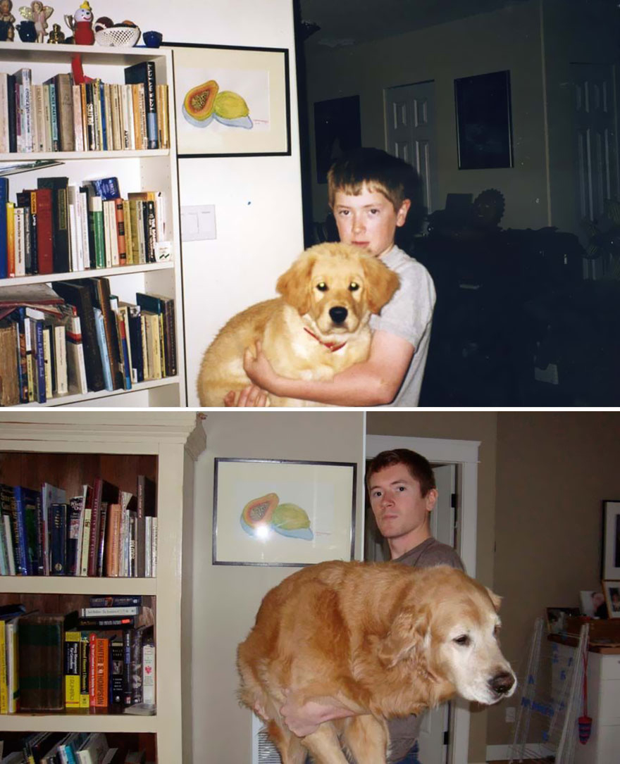 21 Before And After Photos Of Dogs Growing Up 21 Before And After Photos Of Dogs Growing Up