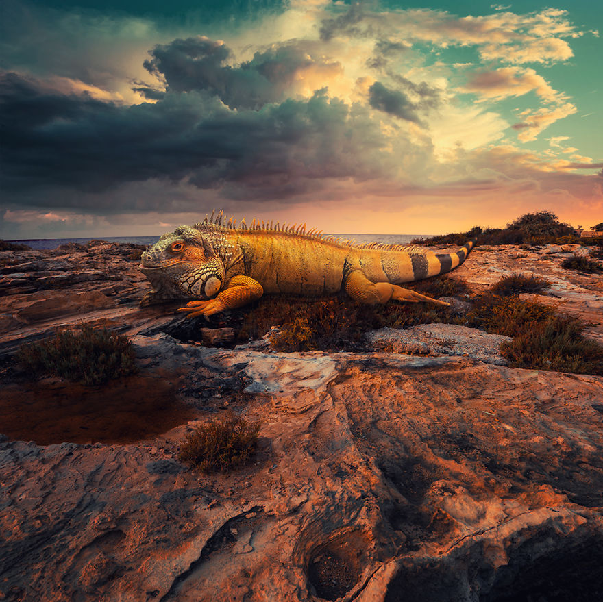 The World Before I Go To Sleep The World Before I Go To Sleep