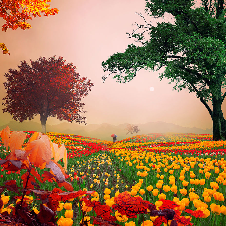 The World Before I Go To Sleep The World Before I Go To Sleep