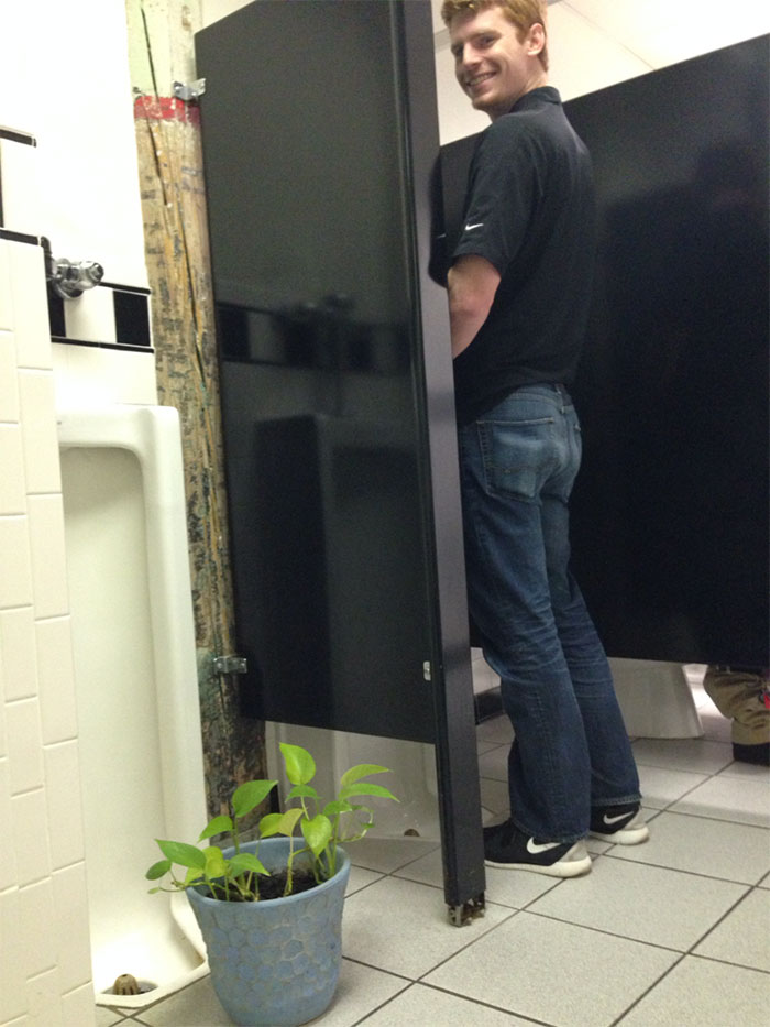 A Coworker Asked This Guy To Watch Her Plant For 4 Days. Here&#8217;s What He Did