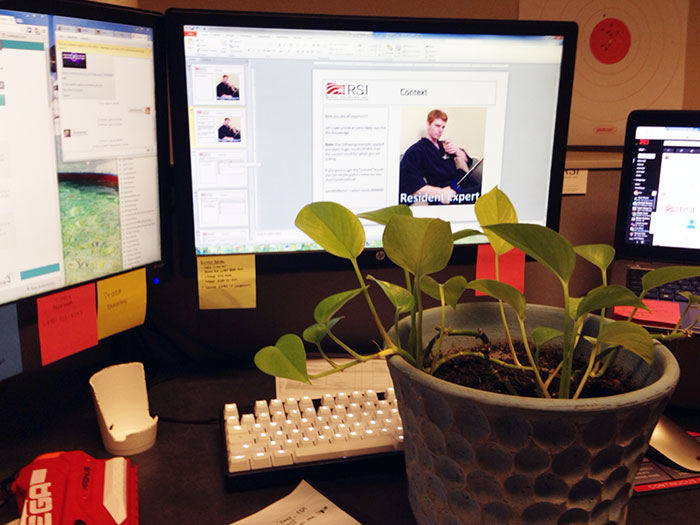 A Coworker Asked This Guy To Watch Her Plant For 4 Days. Here&#8217;s What He Did