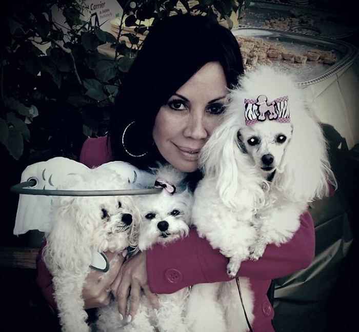 This Angelic Halo Protects Blind Dogs From Bumping Into Things This Angelic Halo Protects Blind Dogs From Bumping Into Things