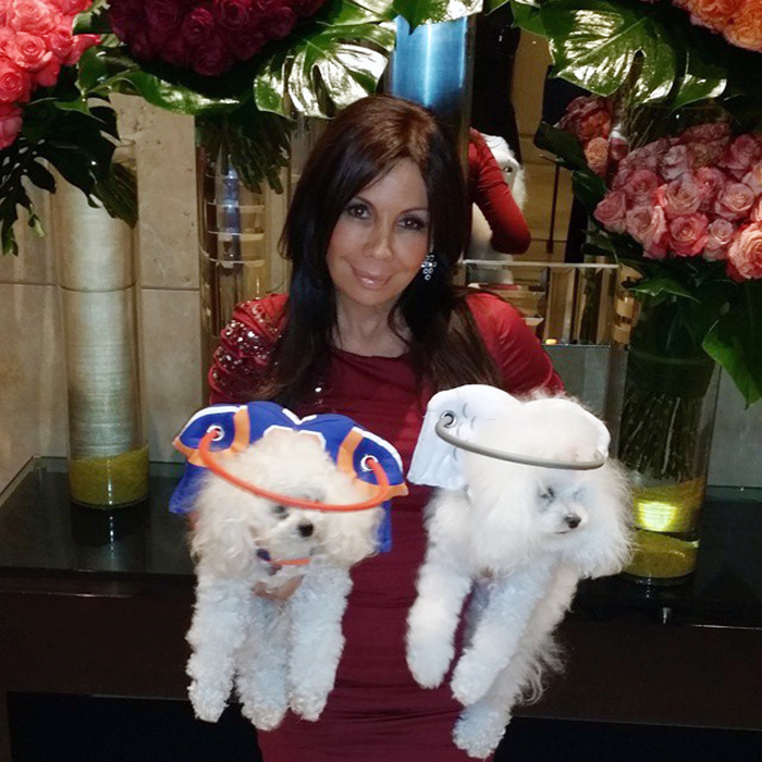 This Angelic Halo Protects Blind Dogs From Bumping Into Things This Angelic Halo Protects Blind Dogs From Bumping Into Things