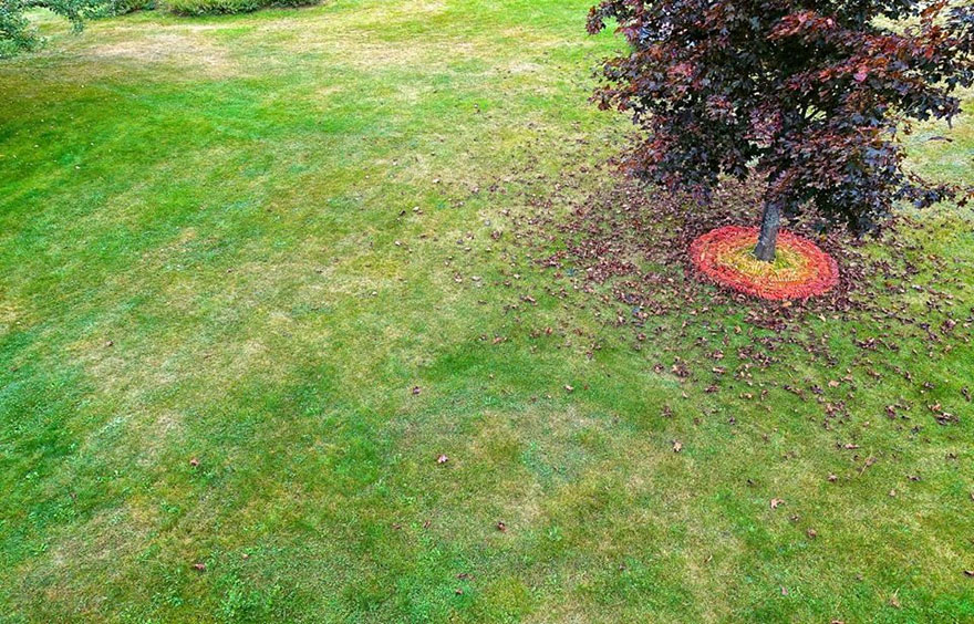 I Create Installations In Public Spaces To Bring People Happiness