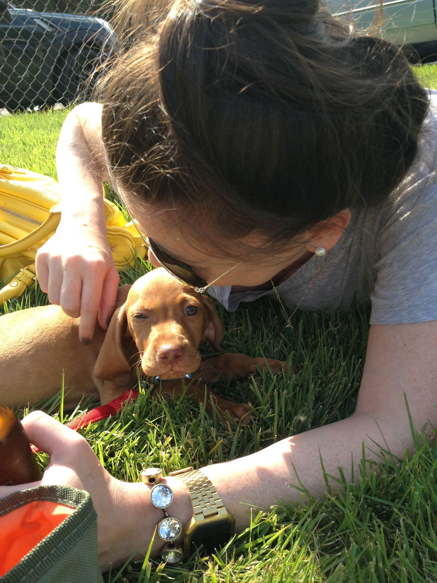 Let&#8217;s See Pictures Of Your Baby Dogs