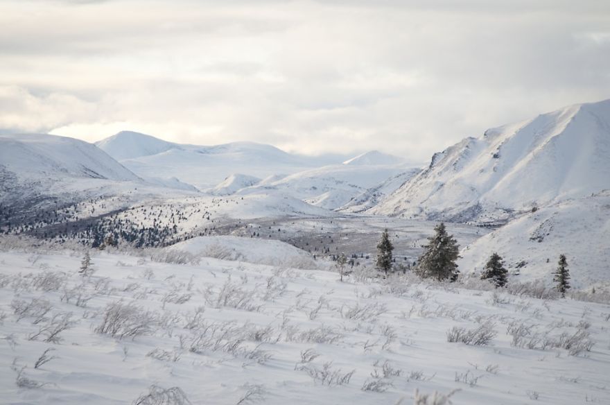 23 Year Old Hitchhiker Carries Camera For An Entire Year To Capture Canada&#8217;s Wild Beauty