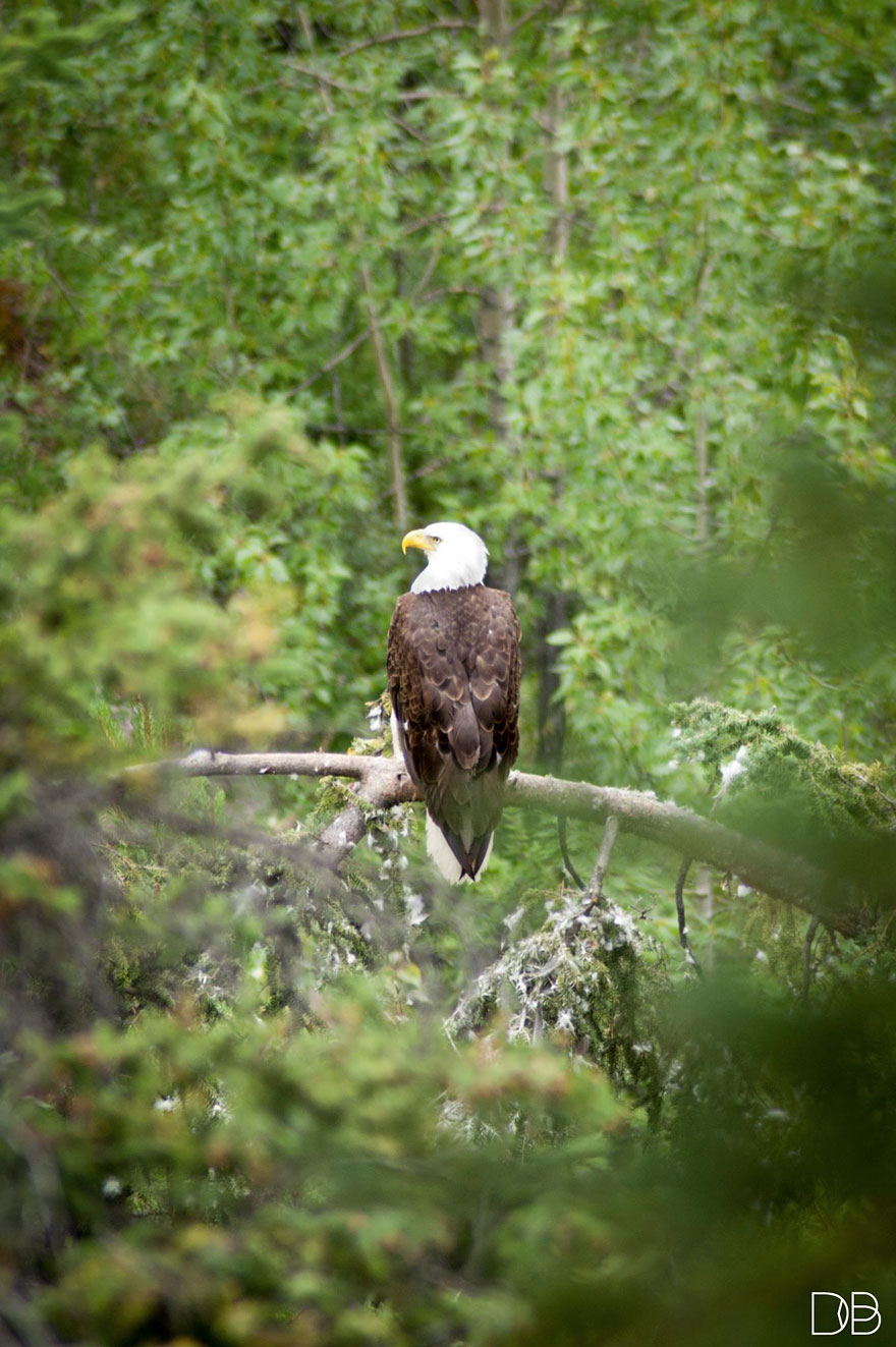23 Year Old Hitchhiker Carries Camera For An Entire Year To Capture Canada&#8217;s Wild Beauty