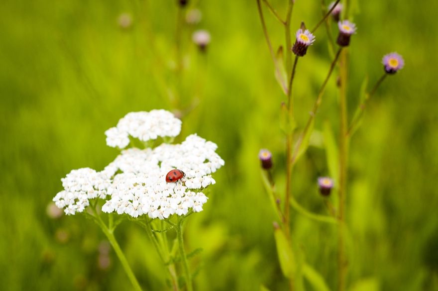 23 Year Old Hitchhiker Carries Camera For An Entire Year To Capture Canada&#8217;s Wild Beauty