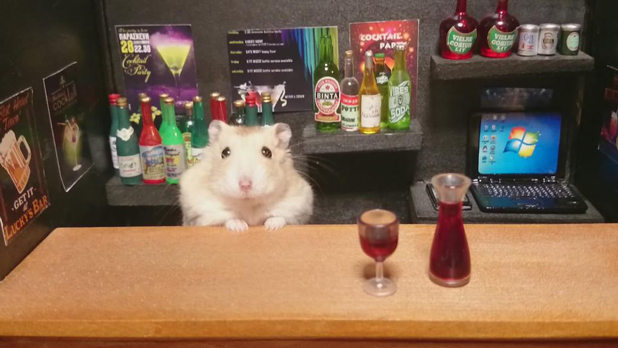 Little Hamster Bartenders Serving Tiny Food and Drinks Little Hamster Bartenders Serving Tiny Food and Drinks