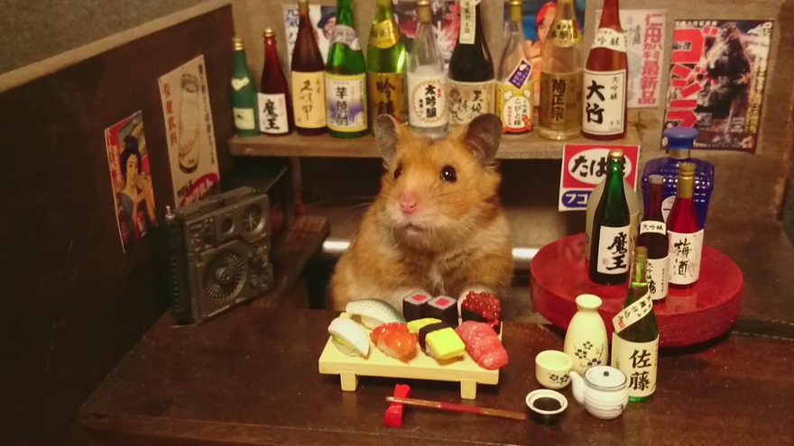 Little Hamster Bartenders Serving Tiny Food and Drinks Little Hamster Bartenders Serving Tiny Food and Drinks