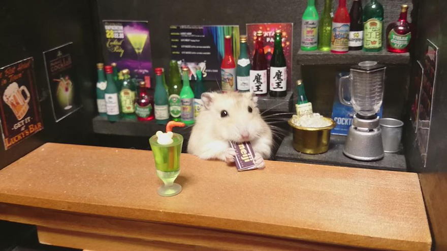 Little Hamster Bartenders Serving Tiny Food and Drinks Little Hamster Bartenders Serving Tiny Food and Drinks