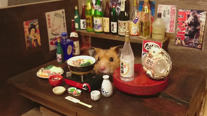 Little Hamster Bartenders Serving Tiny Food and Drinks Little Hamster Bartenders Serving Tiny Food and Drinks