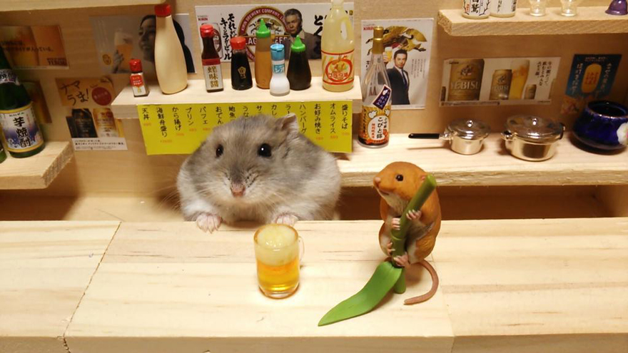 Little Hamster Bartenders Serving Tiny Food and Drinks Little Hamster Bartenders Serving Tiny Food and Drinks