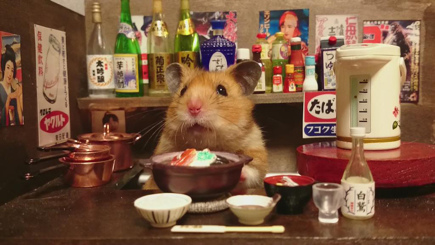 Little Hamster Bartenders Serving Tiny Food and Drinks Little Hamster Bartenders Serving Tiny Food and Drinks