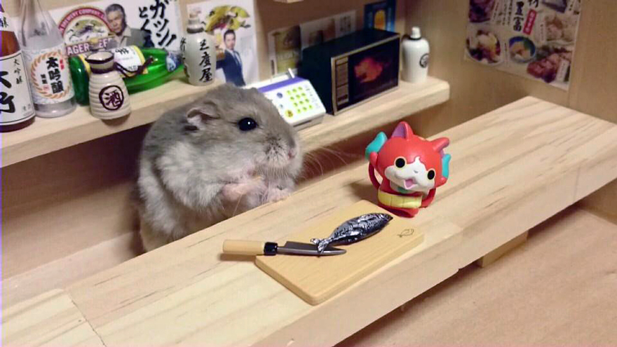 Little Hamster Bartenders Serving Tiny Food and Drinks Little Hamster Bartenders Serving Tiny Food and Drinks