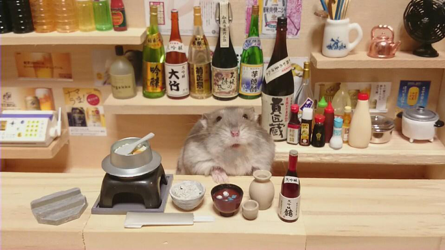 Little Hamster Bartenders Serving Tiny Food and Drinks Little Hamster Bartenders Serving Tiny Food and Drinks
