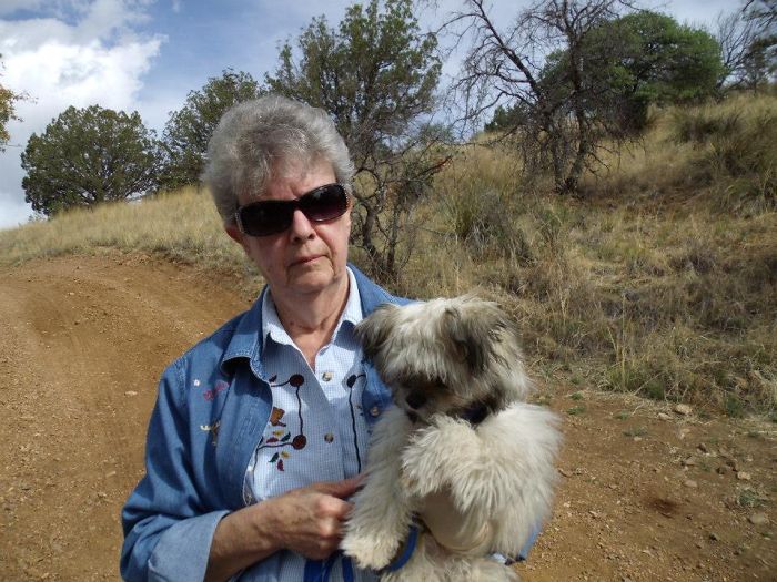84 Animals With Majestic Hair