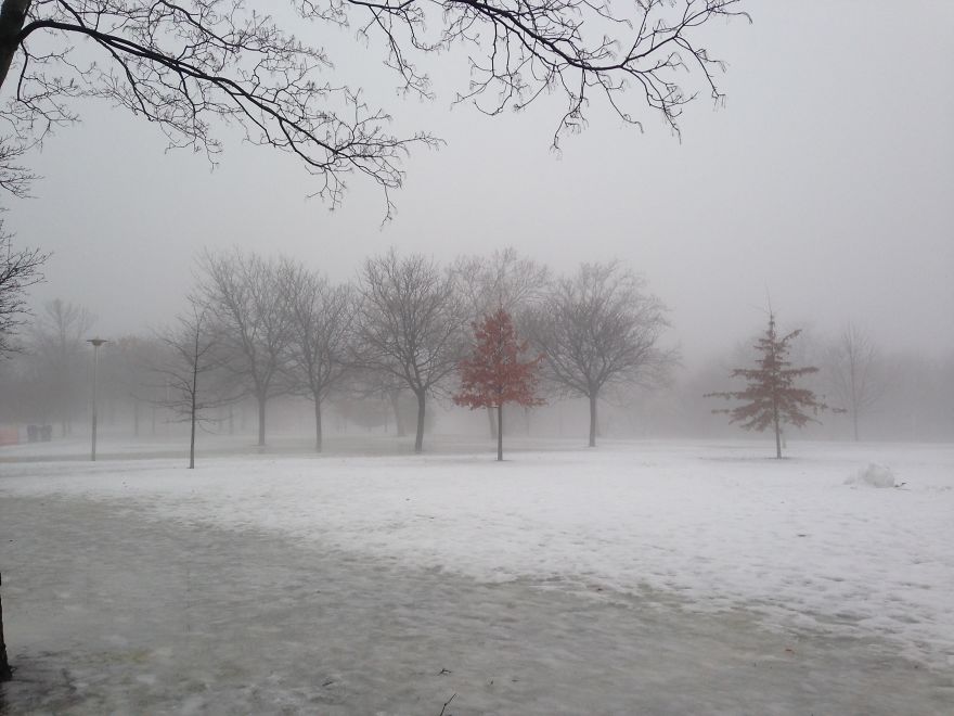 Upload Your Favourite Photos Taken In Canada