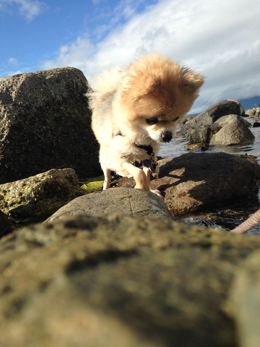 Upload Your Favourite Photos Taken In Canada