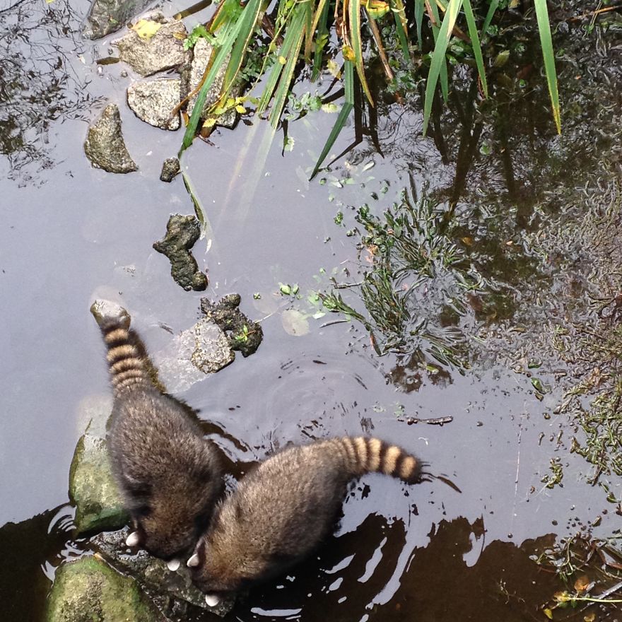 Upload Your Favourite Photos Taken In Canada